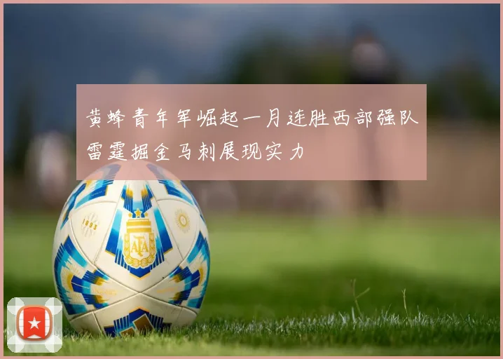 黄蜂青年军崛起一月连胜西部强队雷霆掘金马刺展现实力